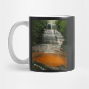 Junction Falls .. golden sands Mug